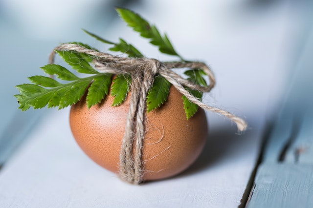 Lucky Egg