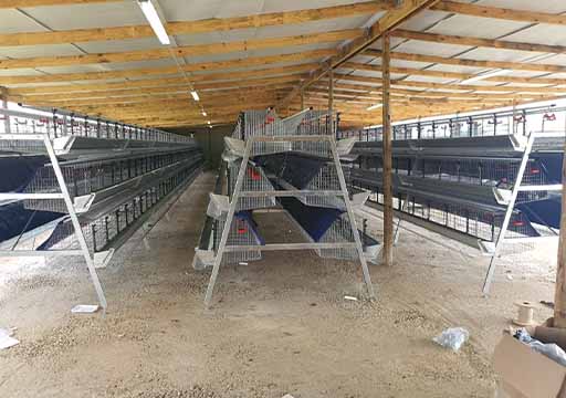 chicken hatch